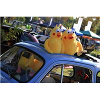 KY161113M (47).jpg